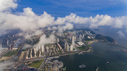 中国 江苏 自贸区连云港片区召开发布会2020年投资200亿实现八个突破 中国经济网