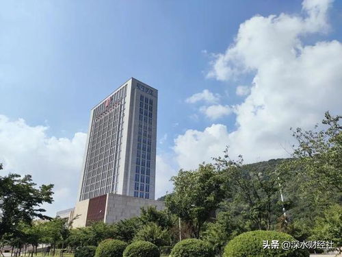 康缘药业股东会见闻 加速培养年轻人才,两位80后高管进入董事会