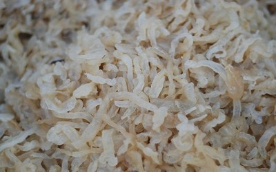 【专业供应海鲜干货海蜇丝(厂家直销 批零兼可,欢迎来电咨询)】价格,厂家,图片,鲜活/冷冻水产,连云港大桥海产品销售-