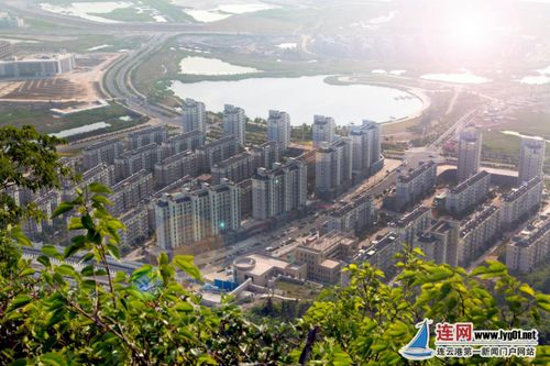 连云港西墅村 特色产业让 小渔村 变 小康村