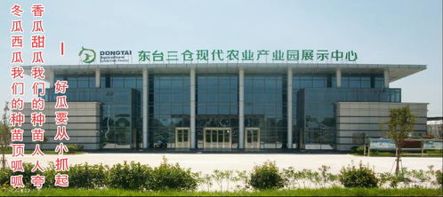 东台市金丰园瓜果蔬菜专业合作社
