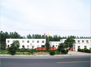 供应东海英普热销碳纤维石英加热管 U形，量大从优